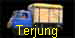 Terjung